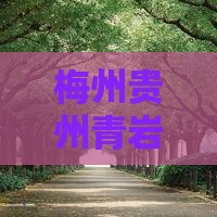 梅州去贵州青岩古镇团体旅游