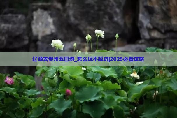 辽源去贵州五日游