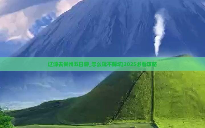 辽源去贵州五日游