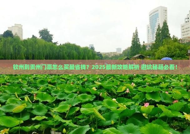 钦州到贵州门票