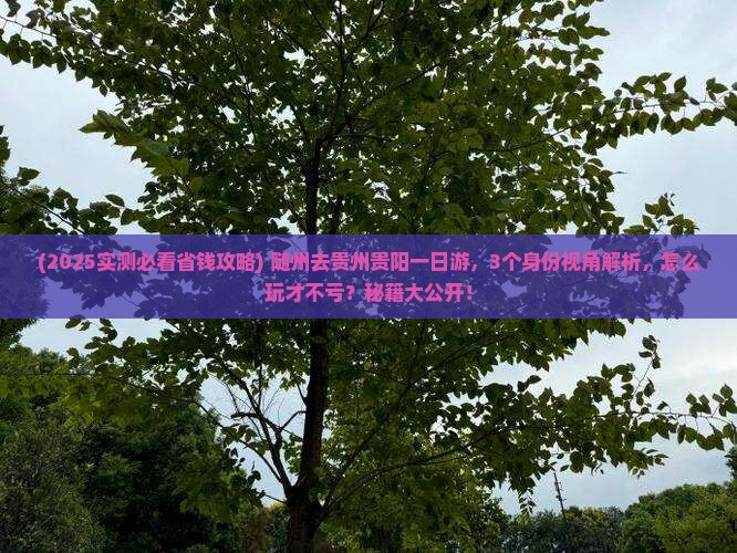随州去贵州贵阳一日