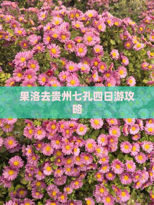 果洛去贵州小七孔四日游