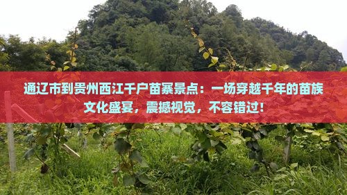 通辽市到贵州西江千户苗寨景点
