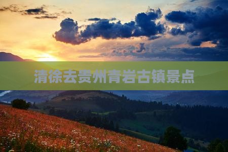 清徐去贵州青岩古镇景点