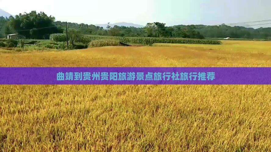 曲靖到贵州贵阳旅行社