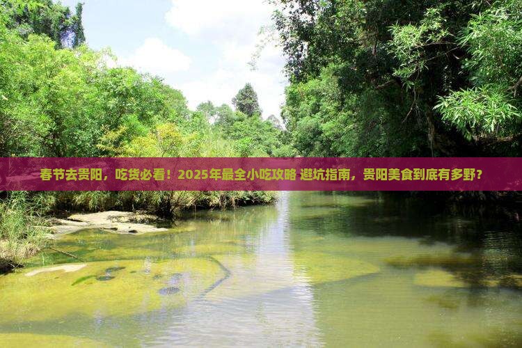 春节去贵州贵阳旅游小吃