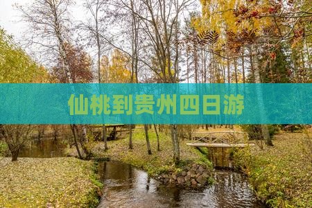 仙桃到贵州四日游