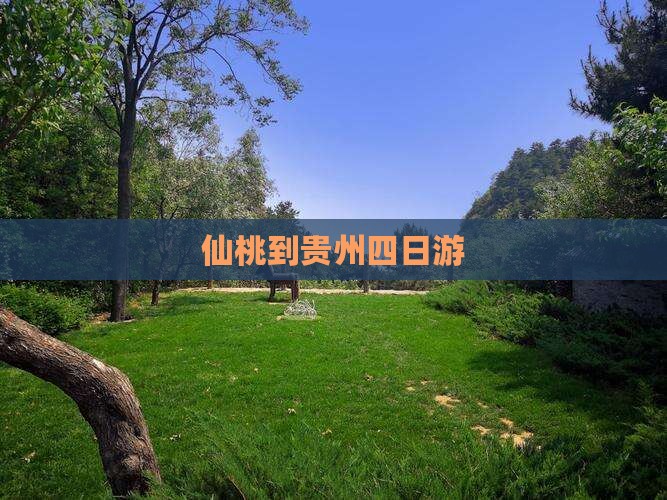 仙桃到贵州四日游