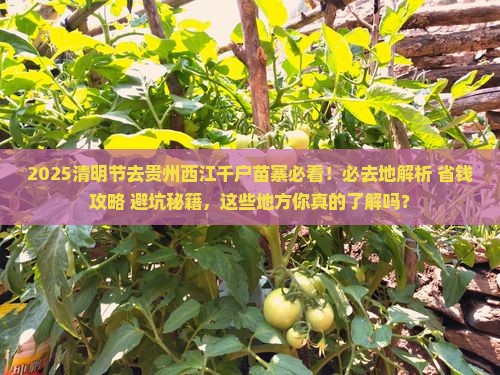 清明节去贵州西江千户苗寨必去地
