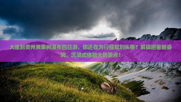 大连到贵州黄果树瀑布四日游