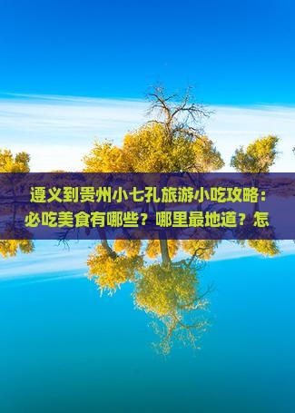 遵义到贵州小七孔旅游小吃