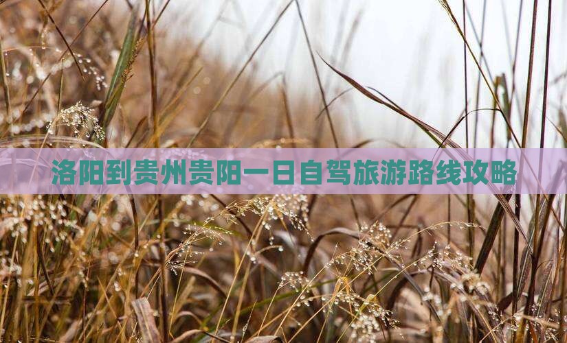 洛阳去贵州贵阳一日