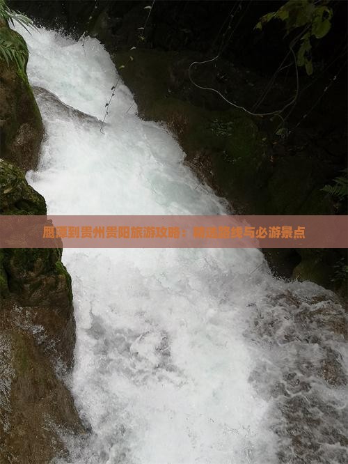 鹰潭去贵州贵阳一日
