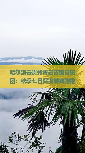 哈尔滨去贵州青岩古镇自由团