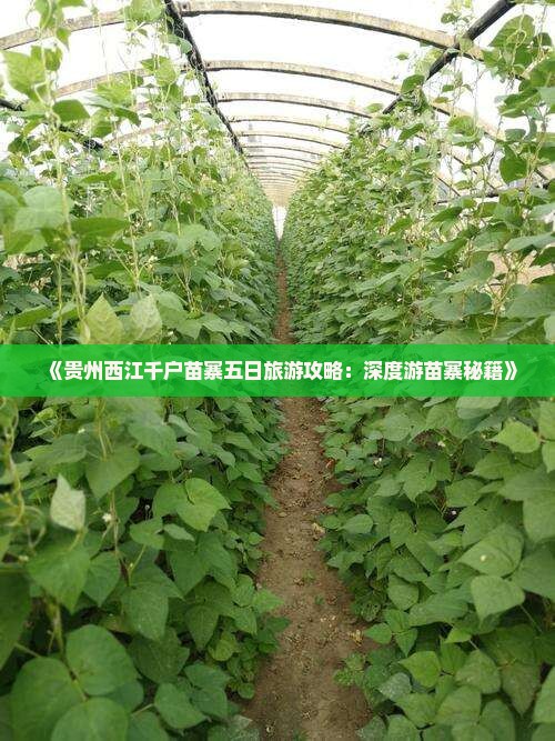 端午节到贵州西江千户苗寨五日游