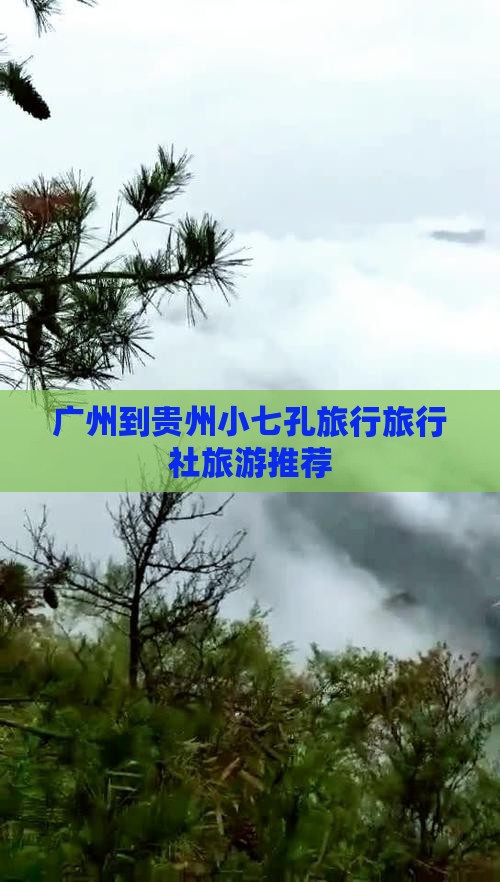 广州到贵州小七孔旅行社