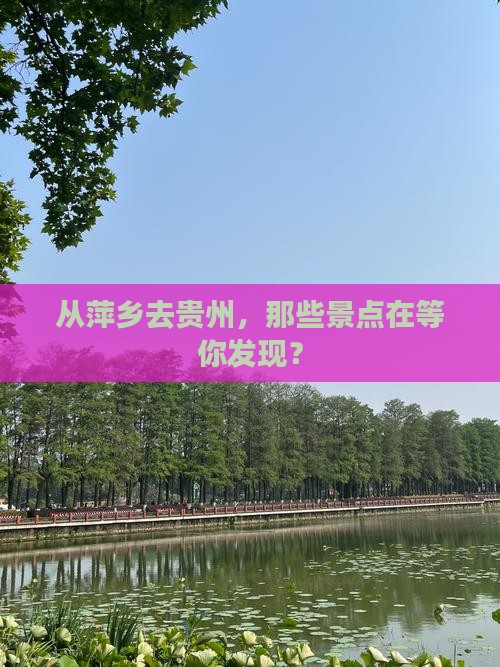萍乡到贵州景点