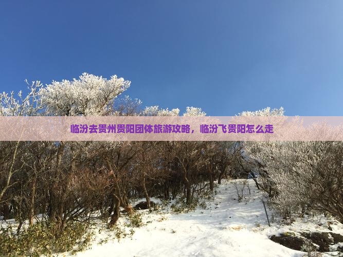 临汾去贵州贵阳团体旅游