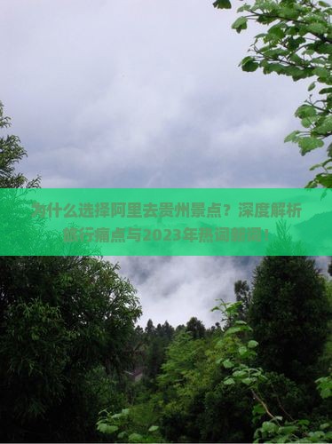 阿里去贵州景点