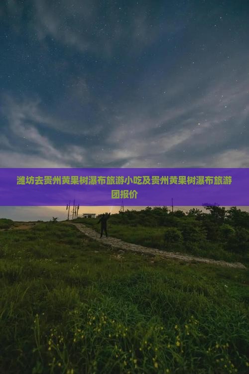 潍坊去贵州黄果树瀑布旅游小吃