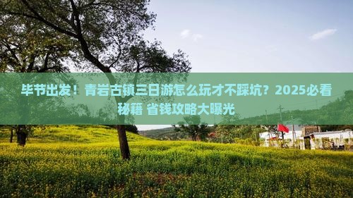 毕节到贵州青岩古镇三日游