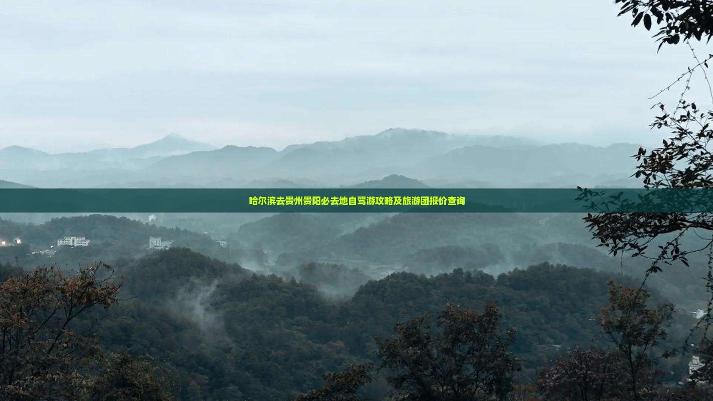 哈尔滨去贵州贵阳必去地