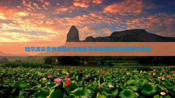 哈尔滨去贵州贵阳必去地