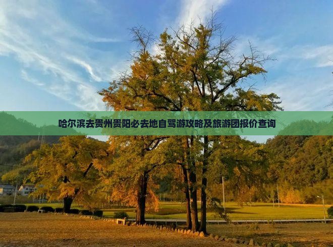 哈尔滨去贵州贵阳必去地
