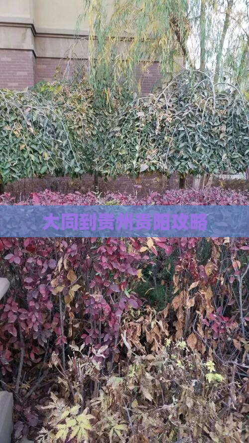 大同到贵州贵阳攻略