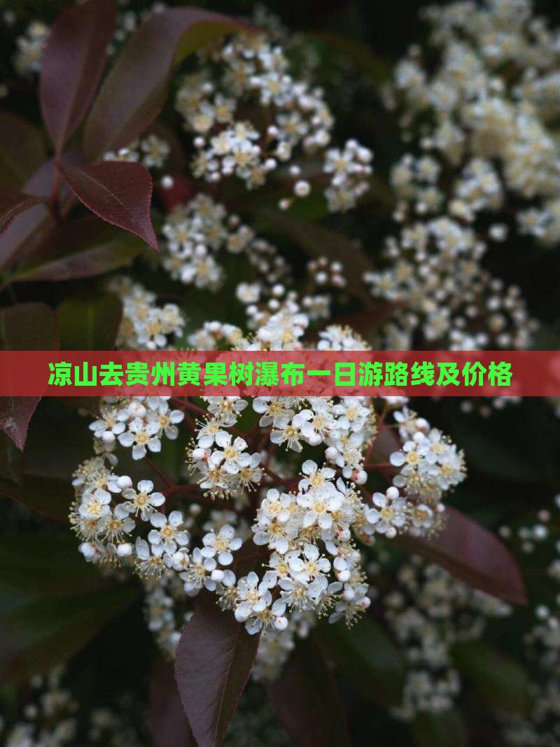 凉山去贵州黄果树瀑布一日 凉山去贵州黄果树瀑布一日