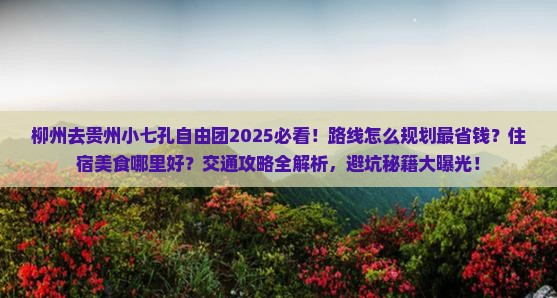 柳州去贵州小七孔自由团