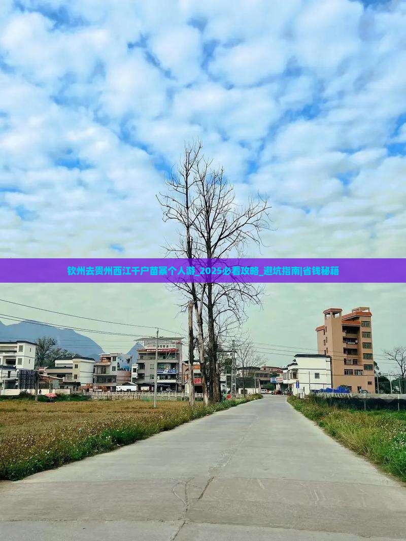 钦州去贵州西江千户苗寨个人游