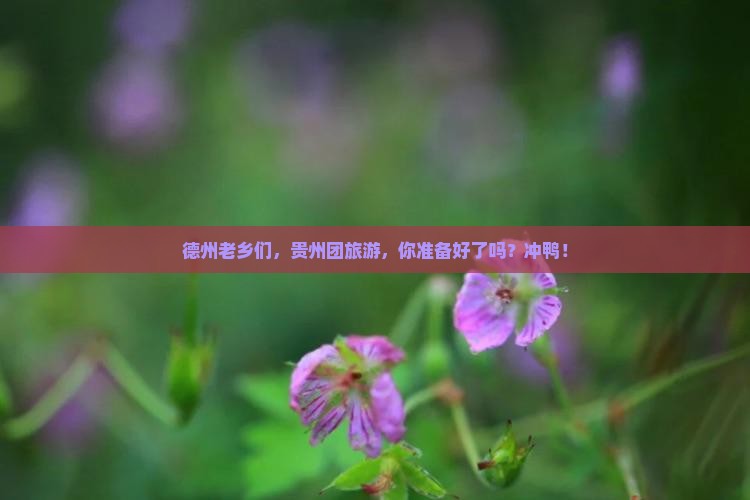 德州到贵州团体旅游