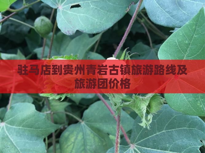 驻马店到贵州青岩古镇旅游
