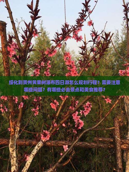 绥化到贵州黄果树瀑布四日游