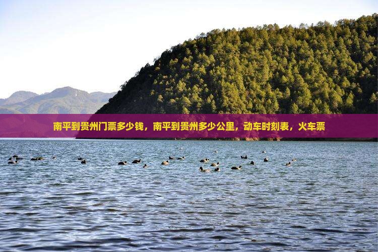 南平到贵州门票