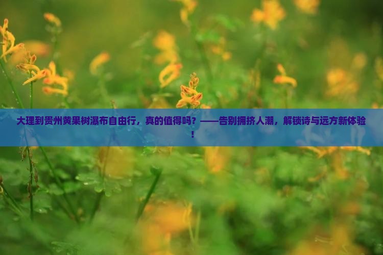 大理到贵州黄果树瀑布自由行