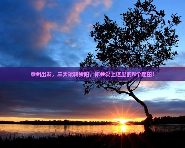 泰州到贵州贵阳三日游