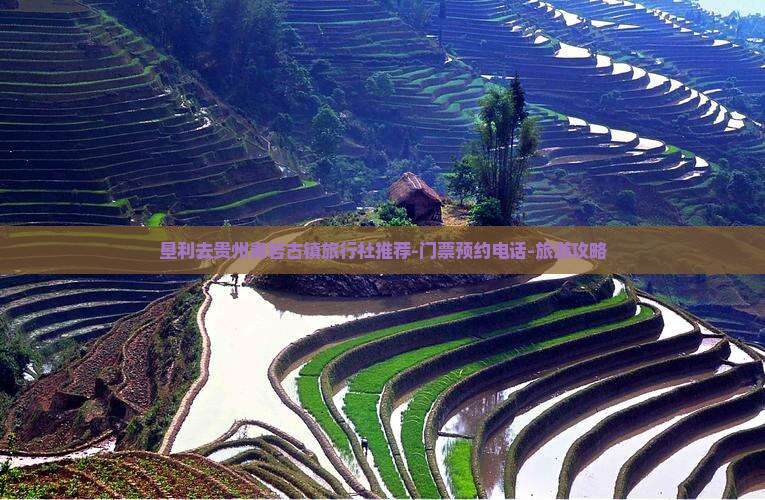 垦利去贵州青岩古镇旅行社