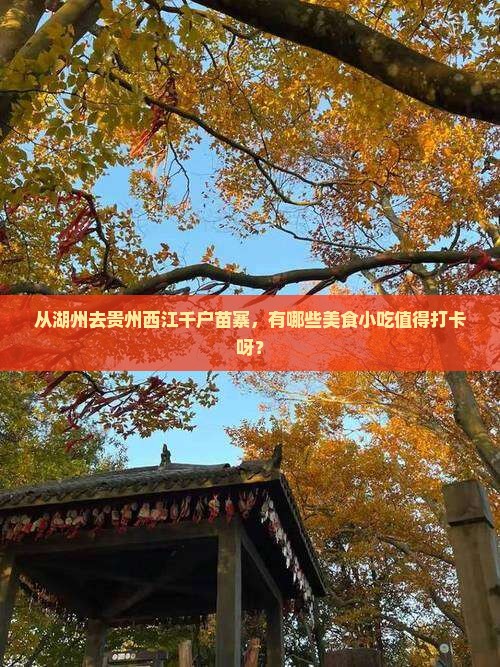 湖州到贵州西江千户苗寨旅游小吃