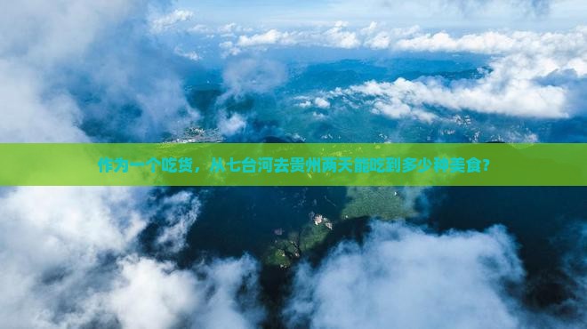七台河到贵州二日游
