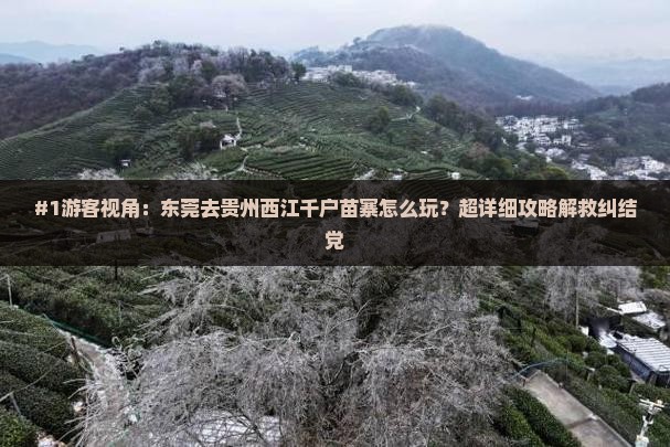 东莞到贵州西江千户苗寨哪里玩