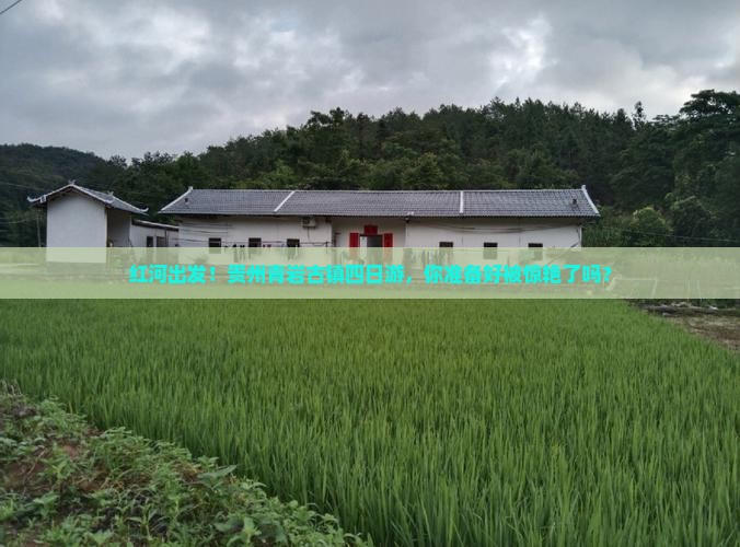 红河去贵州青岩古镇四日游