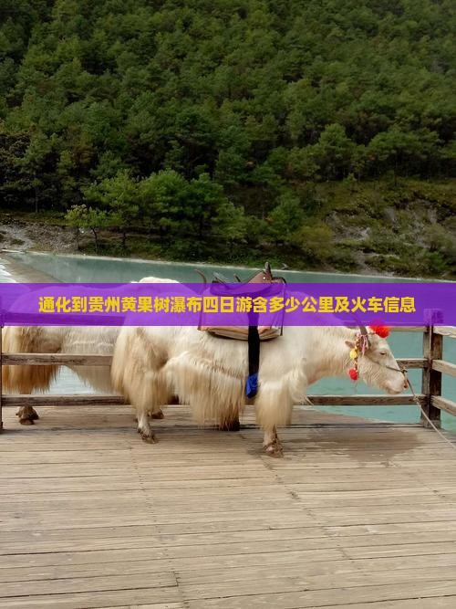 通化到贵州黄果树瀑布四日游