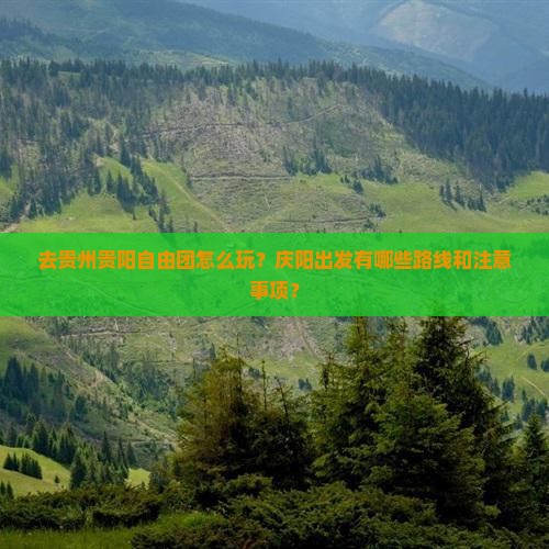 庆阳去贵州贵阳自由团
