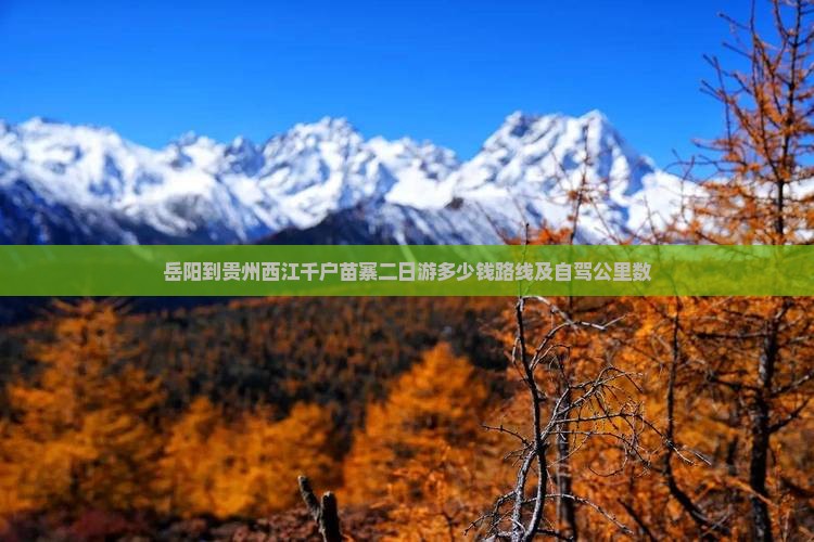 岳阳到贵州西江千户苗寨二日游