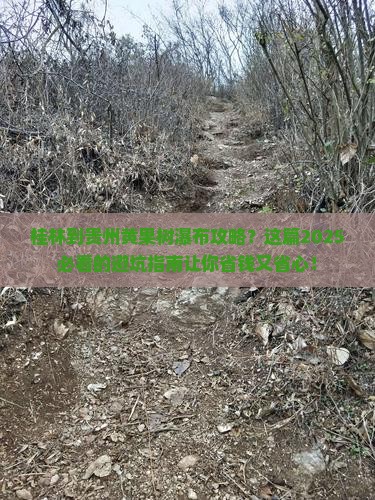桂林到贵州黄果树瀑布攻略