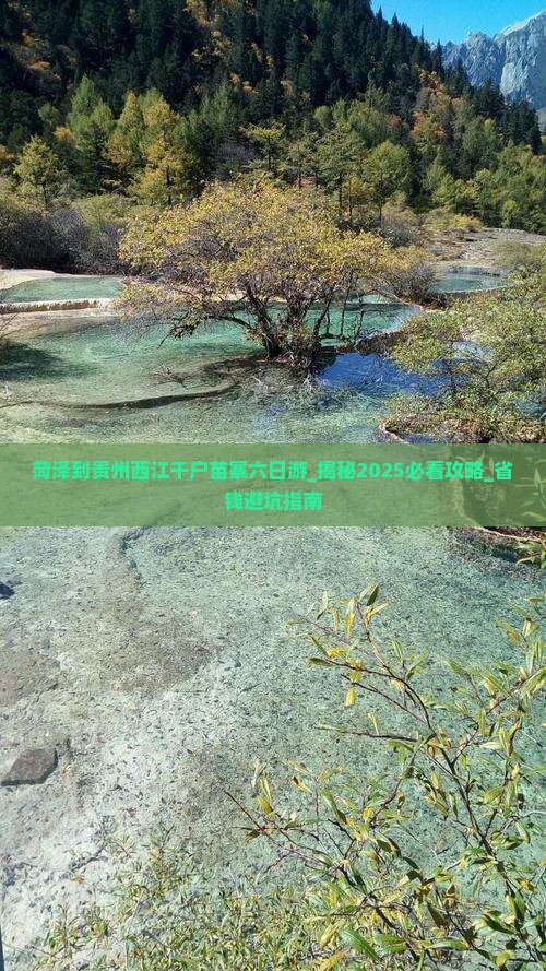 菏泽到贵州西江千户苗寨六日游