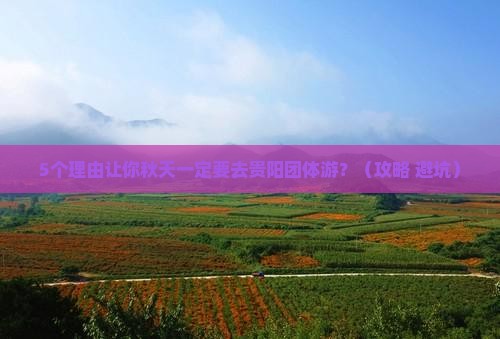 秋天去贵州贵阳团体旅游