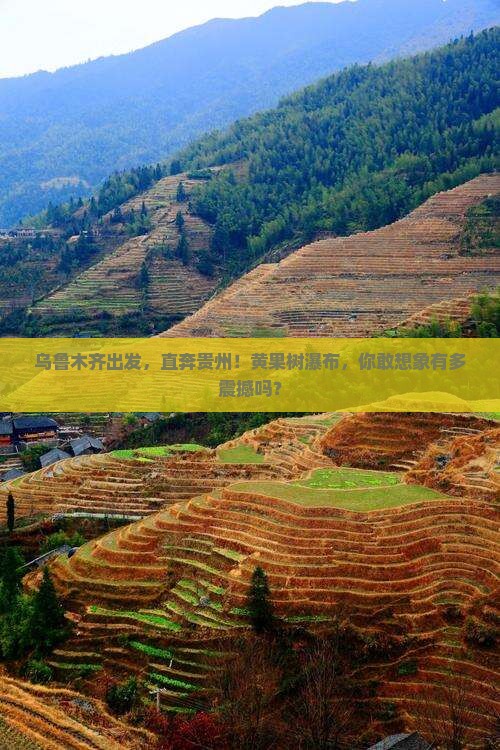 乌鲁木齐去贵州黄果树瀑布旅游